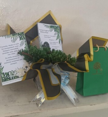 Bono Siembra De Un Árbol