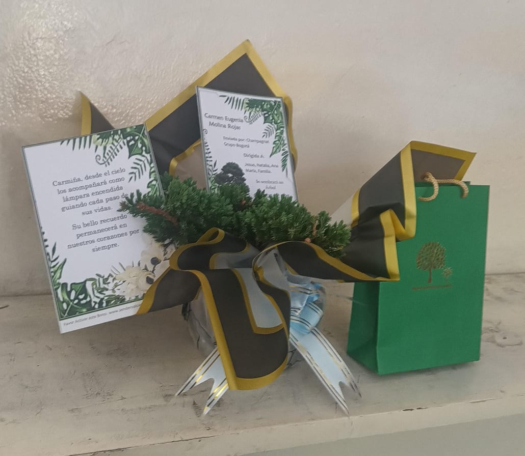 Bono Siembra De Un Árbol