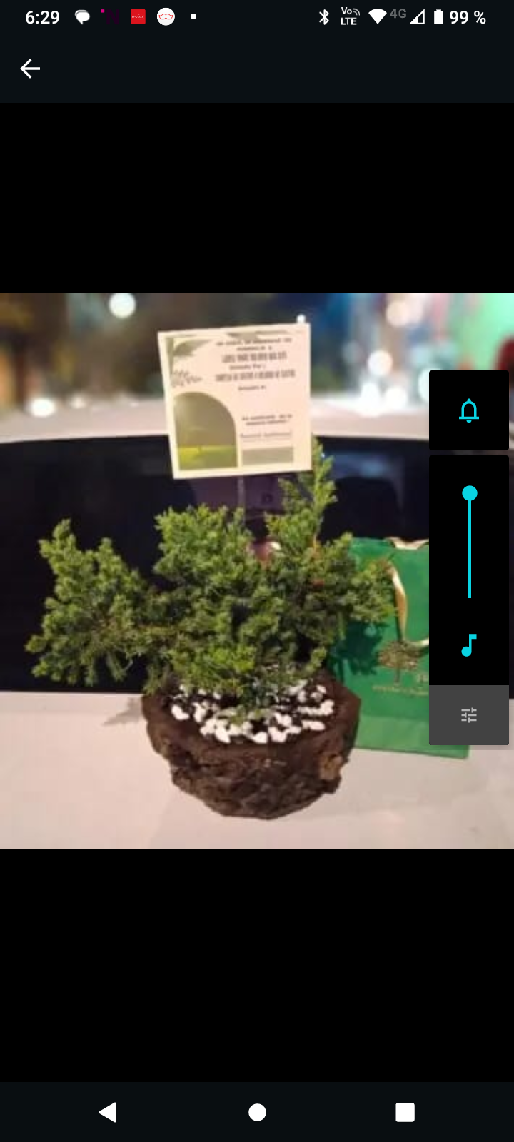 Bono Siembra De Un Árbol - Image 5