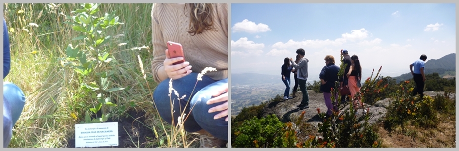 Bono Siembra De Un Árbol - Image 3